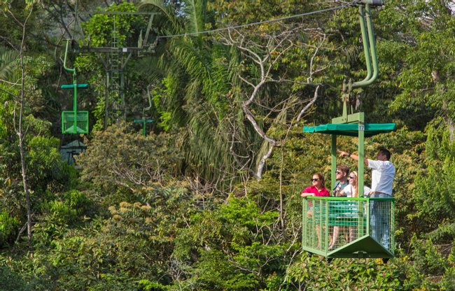 Gamboa Aerial Tram and Wildlife Exhibits Photo